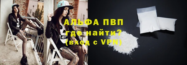 трава Коряжма