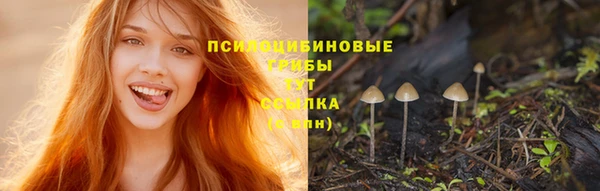 соль ск Костерёво