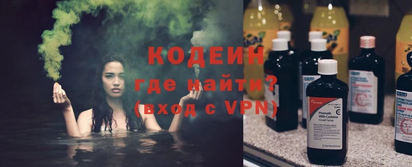 трава Коряжма