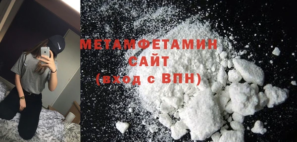 трава Коряжма