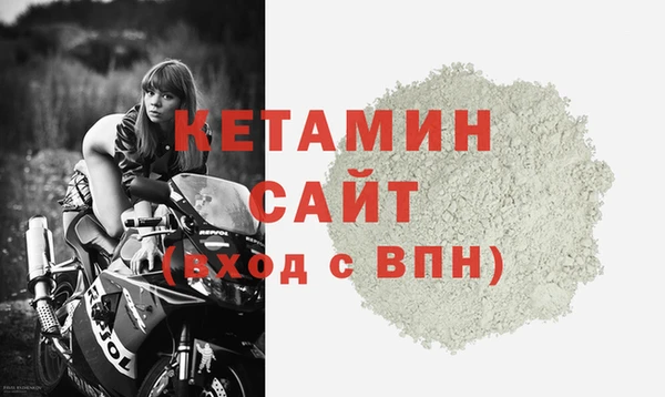 трава Корсаков