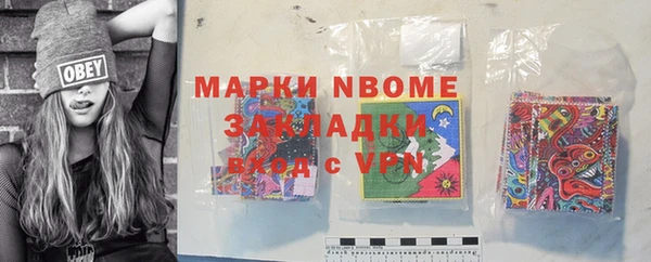 трава Коряжма