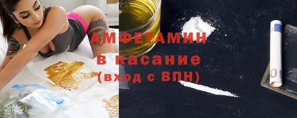 трава Коряжма
