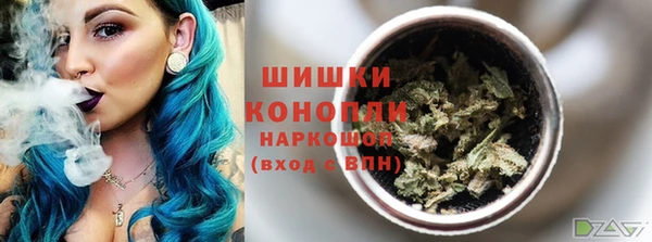 трава Корсаков